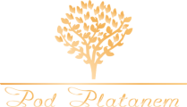cropped-logo-png-e1616262185596.png